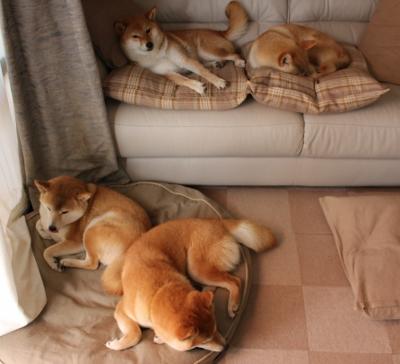 kaiyun网站-青少年篮球训练营注重体能技巧结合促进综合能力提升，青少年篮球训练内容